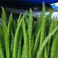 Drum Stick Seeds