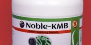 NOBLE KMB