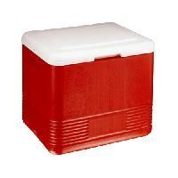 PUF Insulated Plastic Ice Box