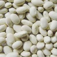 Citicoline And Piracetam Tablets