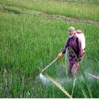 Plant Protection Chemical