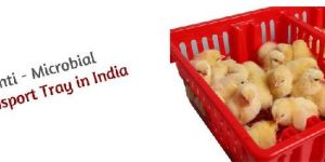 Chick Transport Tray