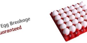 Commercial Plastic Egg Trays