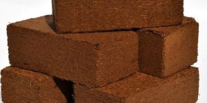 Coco Peat Bricks