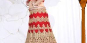 Designer Lehenga Choli