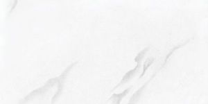 Ceramic Glazed Coloured Floor Tiles 40x40