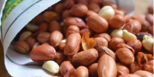 Peanut Kernels