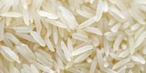 Indian Rice