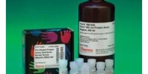 Protein Quantitation Kit