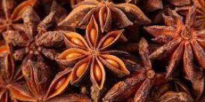Star Anise a