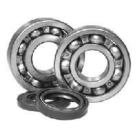 Crankshaft Bearing