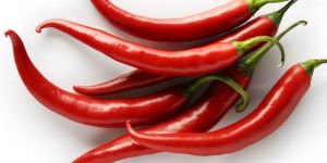 Fresh Red Chilli