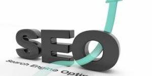 SEO Solution Provider