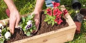 Garden Products