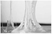 Water Based Polymer Adhesive