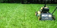Grass Mower