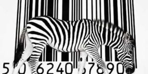 Barcode Label Printers