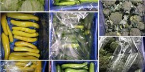 Exotic Vegetables