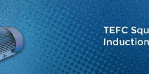 Squirrel Cage Induction Motor