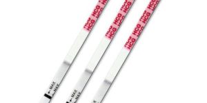 Pregnancy Test Strips