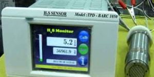 Hydrogen Sulfide Detector
