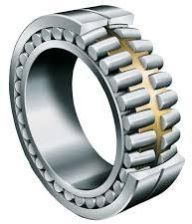 Double Row Cylindrical Roller Bearings