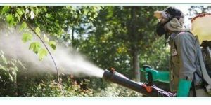 Mosquito Control Services