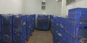 Ice Cream Cold Storage