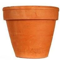 Plastic Flower Pot