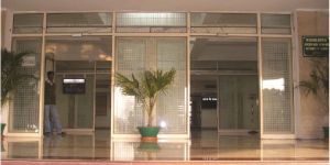 Automated Glass Doors