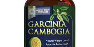 Garcinia Cambogia Fruit