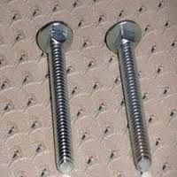 Stainless Steel Carriage Bolts