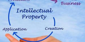 IPR Investigation Services