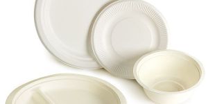 Disposable Plates and Bowls