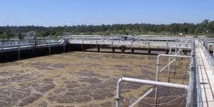 Diffused Aeration System