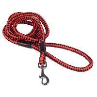 Nylon Dog Leash