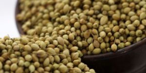Coriander Seeds