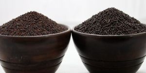Mustard Seed