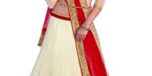 Designer Lehenga Choli