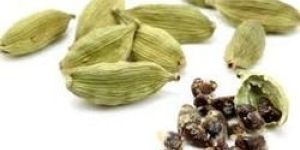 Green Cardamom
