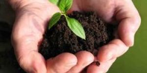 Potash King Eco Friendly Solubilizer