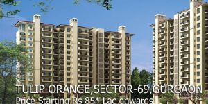 Luxury Serviced Apartment