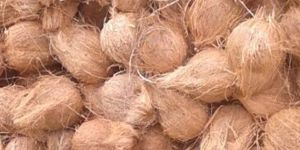 Semi Husked Coconut