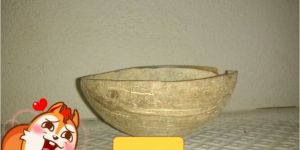 Coconut Shell Ice Cream Cup