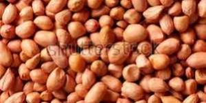 Groundnuts