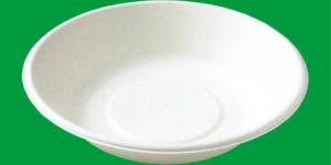 Disposable Paper Bowls