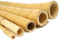 Bamboo Poles
