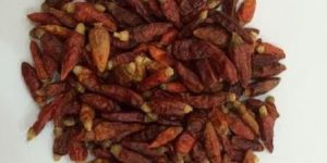 Bird Eye Chilli