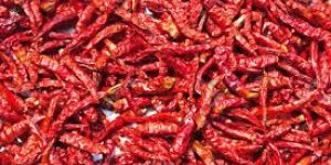 Red Chilly Dried