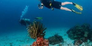 Enhanced Scuba Diving